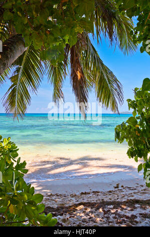 Strand der Seychellen-Insel Praslin, Strand Anse La Blague Stockfoto