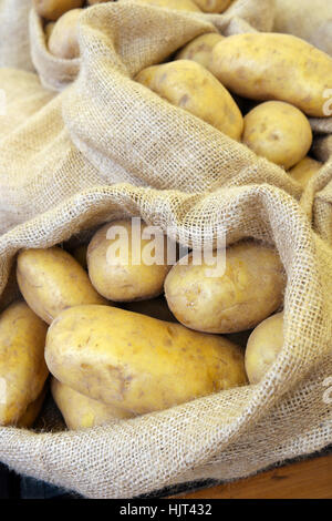 Nahaufnahme der Kartoffeln in einem Leinensack. Stockfoto