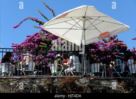 Bar Terraco de Santa Luzia, Miradouro Portas d Sol, Alfama, Lissabon, Lissabon, Portugal Stockfoto