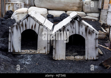 Hundezwinger außerhalb der Hütte von Antarctic Explorer Ernest Shackleton. Stockfoto