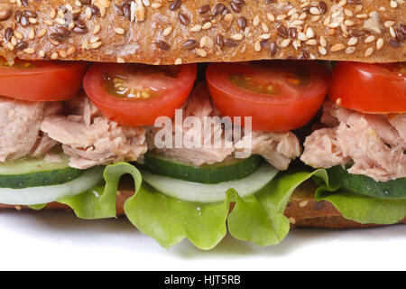 Sandwich mit Thunfisch und Gemüse Makro isoliert auf weißem Hintergrund Stockfoto