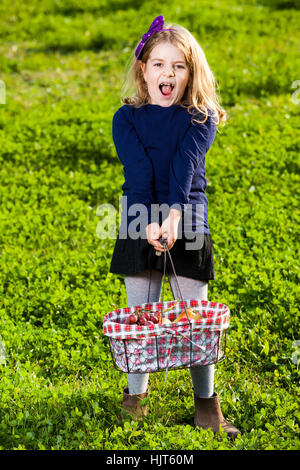 glückliches Mädchen Kind hält Picknick-Korb mit Früchten auf dem grünen Rasen Stockfoto