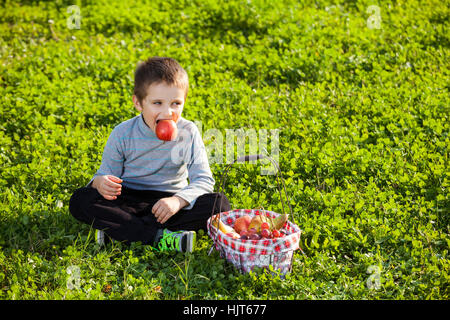 Kinder Essen eines Apfels vom Picknick-Korb sitzen auf dem grünen Rasen Stockfoto