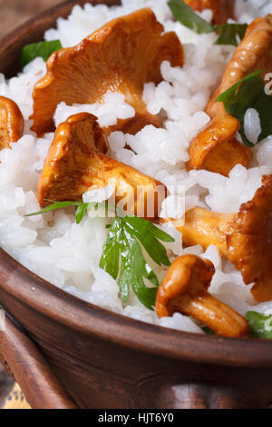 Risotto mit Pfifferlinge Pilze in einer Schüssel schließen sich vertikal Stockfoto