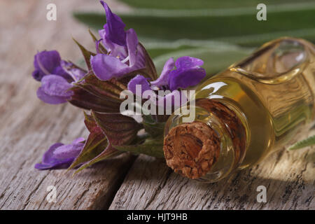 duftender Salbei-Extrakt in eine kleine Flasche auf den Tisch-Makro. horizontale Stockfoto