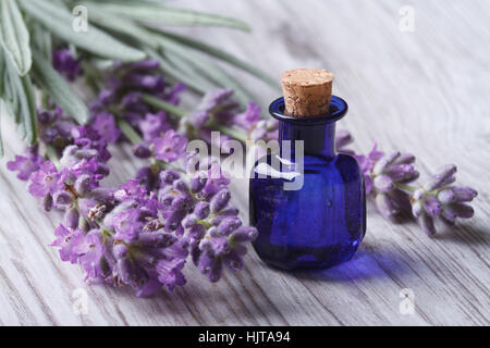 Lavendelöl in einer Glasflasche auf einem Hintergrund von frischen Blumen. Horizontale Nahaufnahme Stockfoto