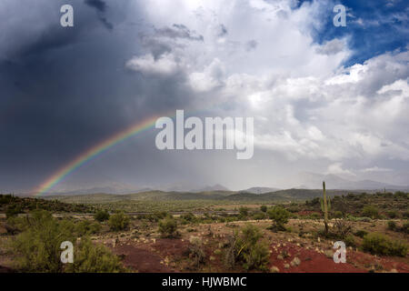 Strahlender Regenbogen in der Sonoran-Wüste nach einem Sturm in der Nähe von Superior, Arizona Stockfoto