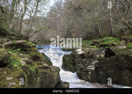 Strid, Bolton Abbey, Yorkshire Dales, UK Stockfoto