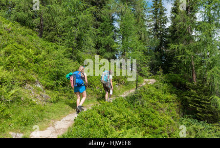 Wanderer auf einem Pfad durch einen Lärchenwald Schladming Tauern, Schladming, Steiermark, Österreich Stockfoto