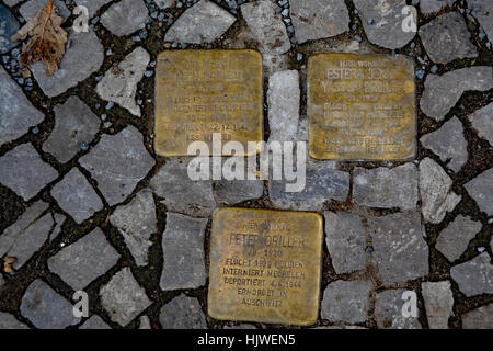 Stolperstein auf den Straßen Berlins zum Gedenken an Angehörige der Familie Driller, die von den Nazis eingenommen wurden Stockfoto