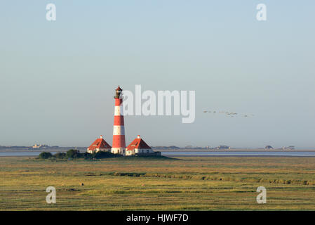 Leuchtturm Westerhever in Salzwiesen, Westerheversand, Schleswig-Holstein Nationalpark Wattenmeer, Nordfriesland Stockfoto