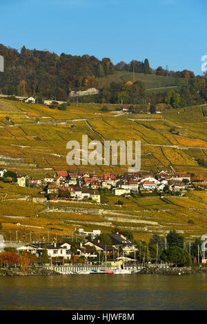 Weinberge im Herbst mit Weindorf Epesses, Genfer See, Lavaux, Kanton Waadt, Schweiz Stockfoto