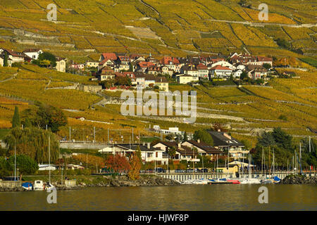 Weinberge im Herbst mit Weindorf Epesses, Genfer See, Lavaux, Kanton Waadt, Schweiz Stockfoto