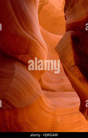 Lower Antelope Canyon, Page, Arizona, USA Stockfoto
