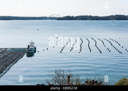 Perlenzucht, Masakijima, Ago Bay, Shima City, Präfektur Mie, Japan Stockfoto