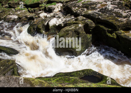 Strid, Bolton Abbey, Yorkshire Dales, UK Stockfoto