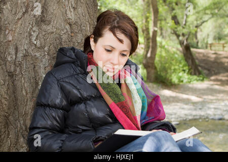 Mädchen-Lesebuch von einem Baum Stockfoto