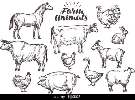 Tierset für Nutztiere. Kuhpferd Huhn Schwein Bulle Gänse Schafe Ziege Kaninchen Hahn Hahn Stock Vektor