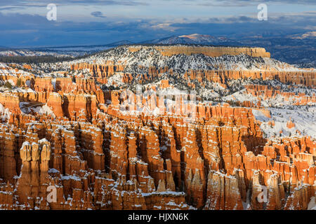 Ein Blick auf die roten Felsformationen im Bereich Silent City von Bryce Amphitheater im Bryce-Canyon-Nationalpark, Utah, USA. Stockfoto