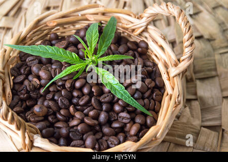 Marihuana und gerösteten Kaffeebohnen in einem Korb Stockfoto