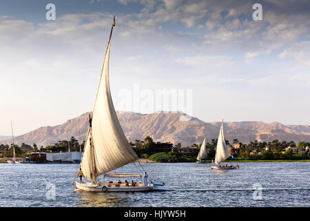 Feluken Segelboote mit Touristen Segeln auf dem Nil in Luxor in der Abenddämmerung Stockfoto