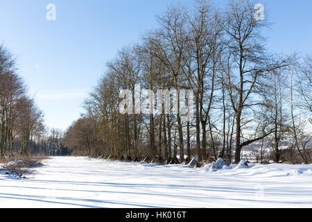 Tank Hindernisse im Winter - so genannte Siegfried line Stockfoto