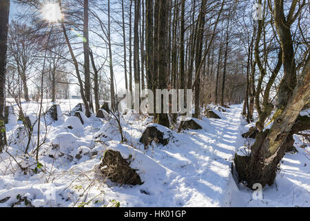 Tank Hindernisse im Winter - so genannte Siegfried line Stockfoto