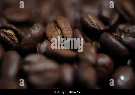 Kaffeebohnen hautnah Stockfoto