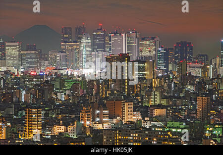 Überbevölkerung, Stadtbild, Stadtbild, Wolkenkratzer von Shinjuku und Mount Fuji, Tokio, Japan Stockfoto