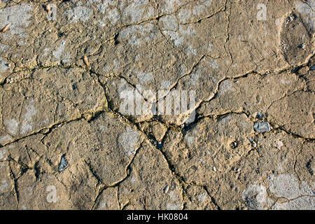 Brauner Farbe trocken rissig schlammigen Erde als eine Hintergrundtextur Stockfoto