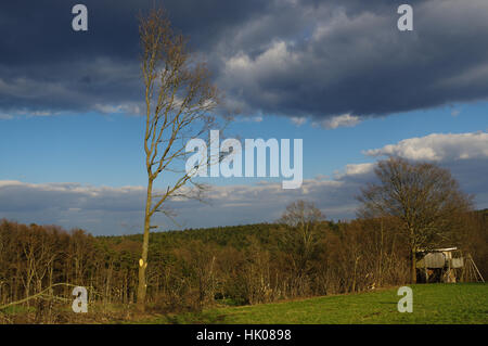eine deutsche Kulturlandschaft mit Holzhaus in der Nähe von Frühlingswald. Schwarzwald in Baden GmbH, Schoemberg in Deutschland Stockfoto