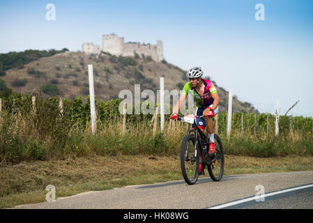 Touristischen Radfahren vorbei Wein Region Palava, Süd-Mähren, Tschechische Republik, Europa Stockfoto