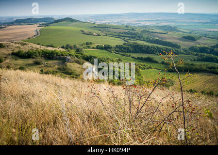 Palava geschützte Landschaftsbereich, Grenzwäldern, Süd-Mähren, Tschechische Republik, Europa Stockfoto