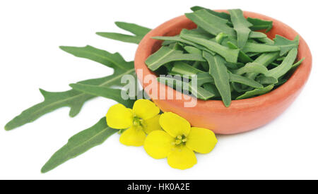 Frischer Rucola oder Rucola Blätter mit Blumen auf weißem Hintergrund Stockfoto