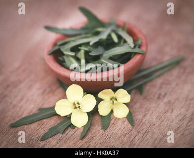 Frischer Rucola oder Rucola Blätter mit Blume Stockfoto