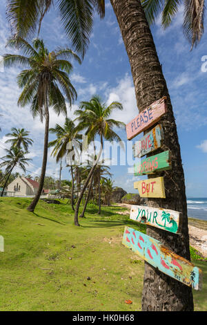 Strand, Bathseba, St. Joseph, Barbados, West Indies, Karibik, Mittelamerika Stockfoto