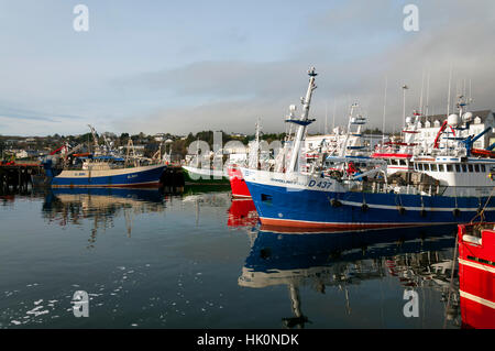 Fischkuttern und Booten im Hafen von Killybegs, County Donegal, Irland Stockfoto