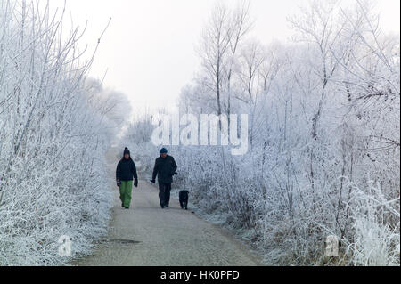 Wanderer im Berek Wälder in Sub zero Temperatur und Raureif. Nove Zamky Slowakei.  Januar 2017 Stockfoto