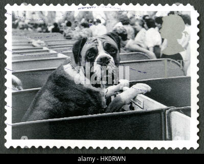 Großbritannien - ca. 2001: Eine gebrauchte Briefmarke aus dem Vereinigten Königreich, ein Bild von einem Boxer Hund, ca. 2001. Stockfoto