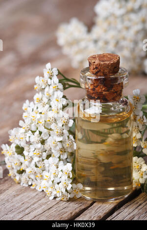 Tinktur aus Schafgarbe in der Flasche Nahaufnahme auf einem Hintergrund von Blumen auf dem Tisch. vertikale Stockfoto