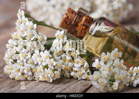 Schafgarbenöl in der Flasche Nahaufnahme auf einem Hintergrund von Blumen auf dem Tisch. horizontale Stockfoto