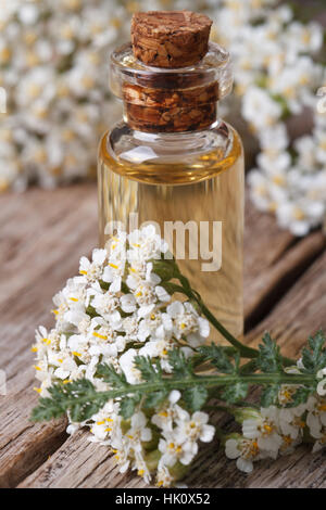 Auszug der Schafgarbe in einer Flasche mit Blumen auf dem Tisch. vertikale Makro Stockfoto