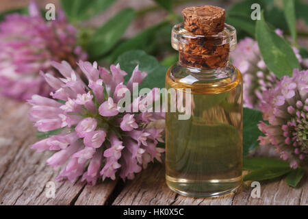 Klee-Öl in der Flasche auf den Tisch und Blumen Makro horizontale Stockfoto