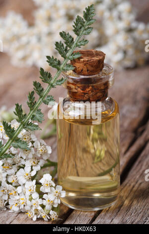 Schafgarbenöl in der Flasche mit Blumen auf dem Tisch. vertikale Makro Stockfoto