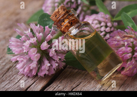 Klee-Tinktur in einer Flasche auf den Tisch und Blumen Makro horizontale Stockfoto