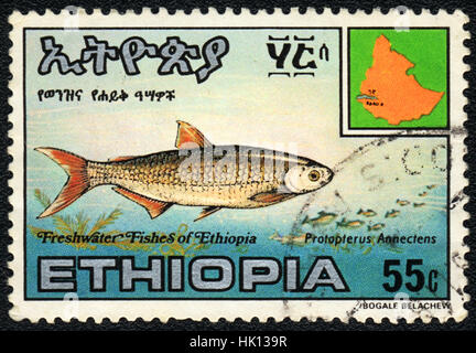 Eine Briefmarke gedruckt in Äthiopien zeigt eine Protopterus Annectens, ca. 1980 Stockfoto