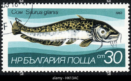 Eine Briefmarke gedruckt in Bulgarien zeigt einen Fisch Silurus Glanis, Serie, ca. 1983 Stockfoto