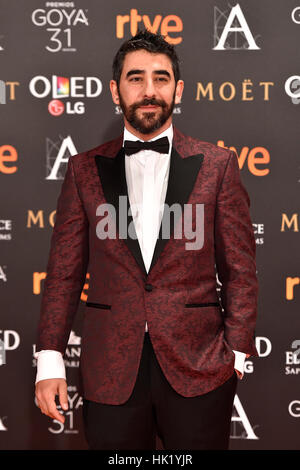 Madrid, Spanien. 4. Februar 2017. Gast bei einem Fototermin während den 31. jährliche Goya Filmpreis in Madrid. Bildnachweis: Gtres Información Más lokalen auf line,S.L./Alamy Live News Stockfoto