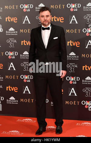 Madrid, Spanien. 4. Februar 2017. Gast bei einem Fototermin während den 31. jährliche Goya Filmpreis in Madrid. Bildnachweis: Gtres Información Más lokalen auf line,S.L./Alamy Live News Stockfoto