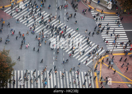 Stadtbild, Shibuya jagt Kousaten Kreuzung in Hachiko Square, Tokio, Japan Stockfoto